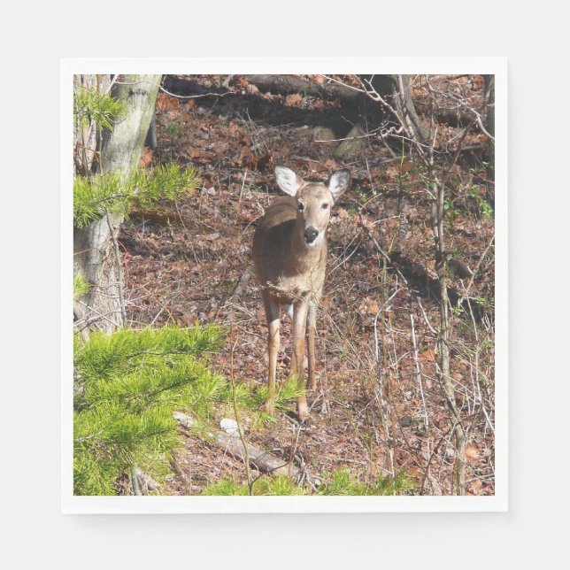 Adorable Deer in the Woods Nature Photography Napkins (Front)