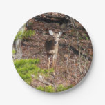 Adorable Deer in the Woods Nature Photography Paper Plates