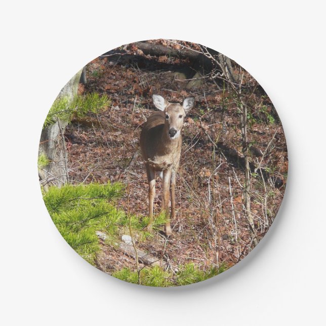 Adorable Deer in the Woods Nature Photography Paper Plates (Front)