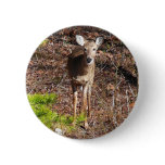 Adorable Deer in the Woods Nature Photography Pinback Button