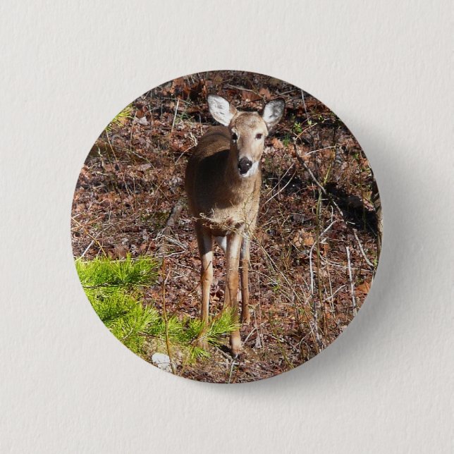 Adorable Deer in the Woods Nature Photography Pinback Button (Front)