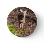 Adorable Deer in the Woods Nature Photography Pinback Button