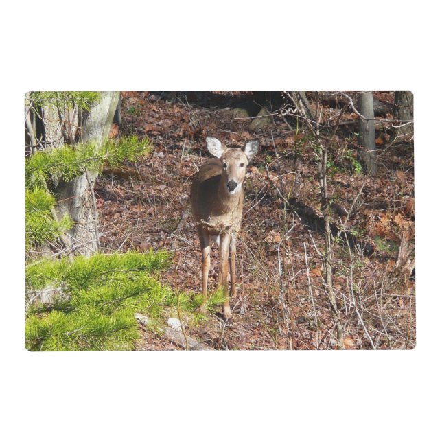 Adorable Deer in the Woods Nature Photography Placemat (Front)
