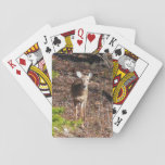 Adorable Deer in the Woods Nature Photography Playing Cards