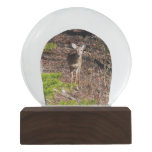 Adorable Deer in the Woods Nature Photography Snow Globe