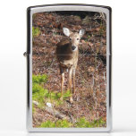 Adorable Deer in the Woods Nature Photography Zippo Lighter