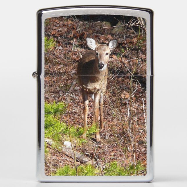 Adorable Deer in the Woods Nature Photography Zippo Lighter (Front)
