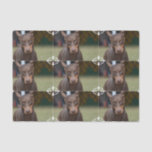 Adorable Doberman Pinscher Tissue Paper