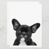 Adorable Dog | Black French Bulldog Face (Front/Back)