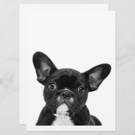 Adorable Dog | Black French Bulldog Face (Front/Back)