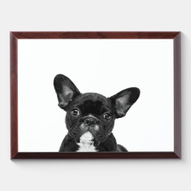 Adorable Dog | Black French Bulldog Face Award Plaque (Horizontal)