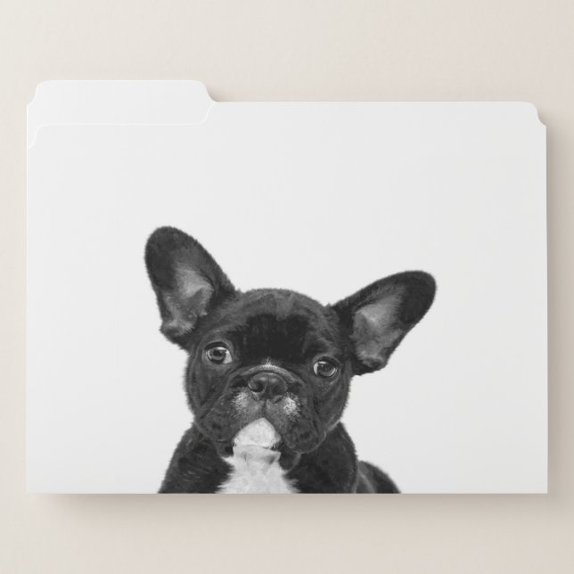 Adorable Dog | Black French Bulldog Face File Folder (Front Left)