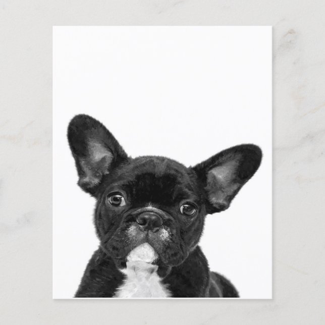 Adorable Dog | Black French Bulldog Face Flyer (Front)