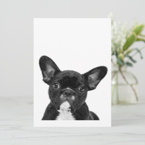 Adorable Dog  Black French Bulldog Face Holiday Card