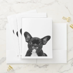 Adorable Dog   Black French Bulldog Face Pocket Folder