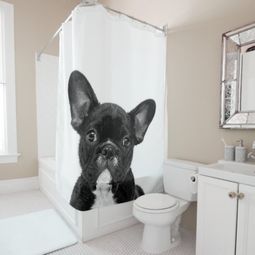 Adorable Dog  Black French Bulldog Face Shower Curtain