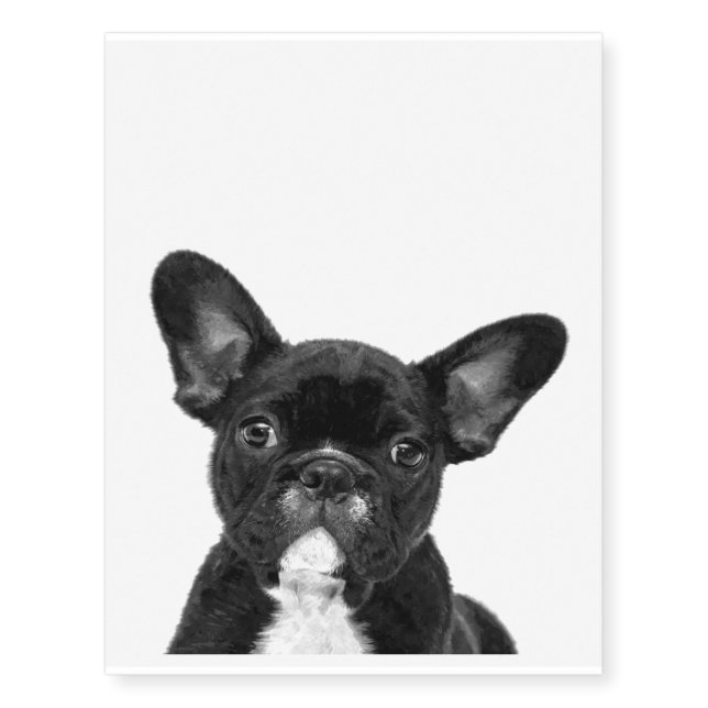 Adorable Dog | Black French Bulldog Face Temporary Tattoos (Front)