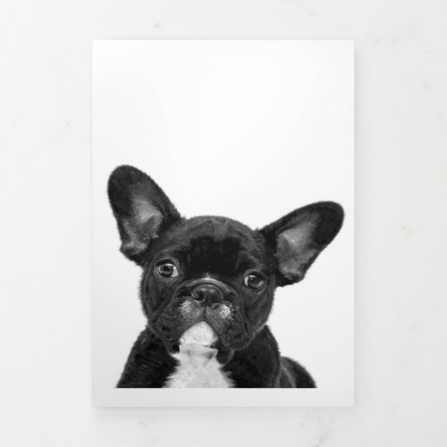 Adorable Dog  Black French Bulldog Face Tri_Fold Announcement