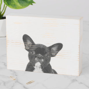 Adorable Dog   Black French Bulldog Face Wooden Box Sign