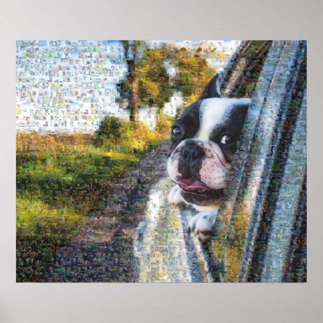 Adorable dog hanging out of the window mosaic poster (Front)