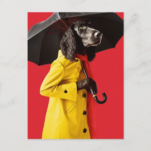 Adorable Dog in a yellow raincoat red background Postcard (Front)
