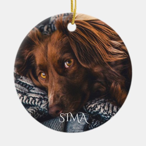 Adorable Dog Pet Photo Christmas Ceramic Ornament