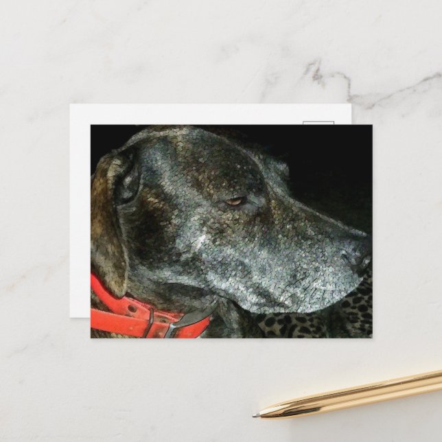 Adorable Dog Postcard (Front/Back In Situ)