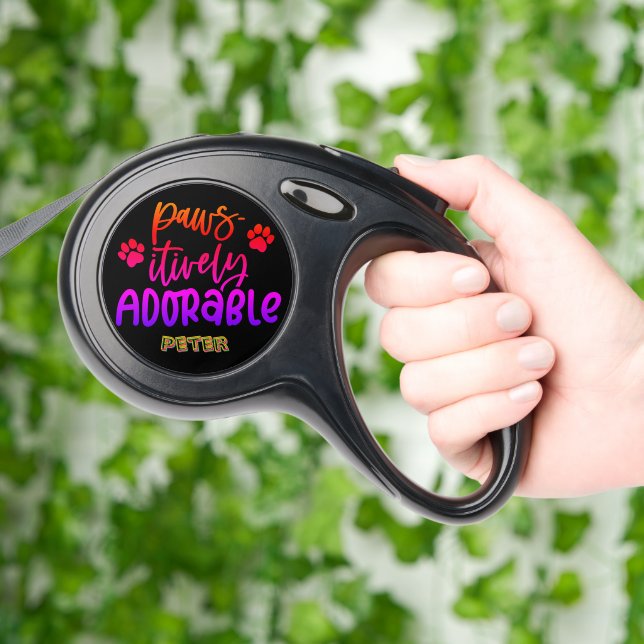 Adorable dog quotes to brighten your day retractable pet leash  (Hand)