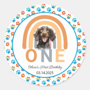 Adorable Dog Rainbow Watercolor 1st Birthday Party Classic Round Sticker