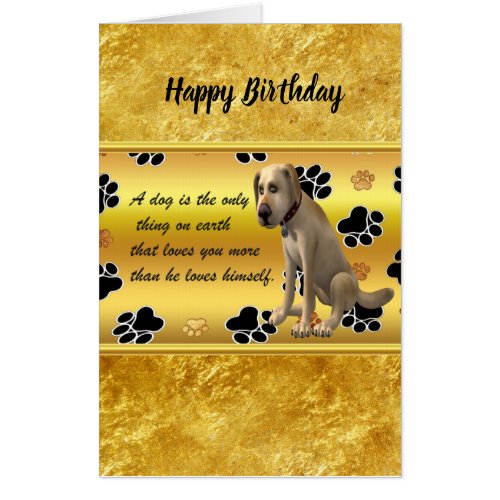 Adorable dog sitting with a cute fun quote card