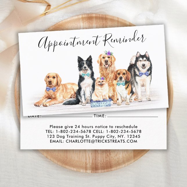 Adorable Dogs Dog Groomer Pet Sitter Business  Appointment Card (Creator Uploaded)