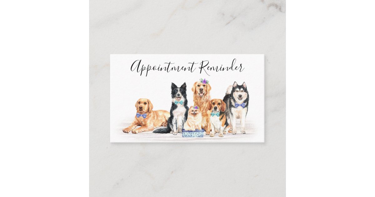 Adorable Dogs Pet Sitter Dog Groomer Business Appointment Card | Zazzle