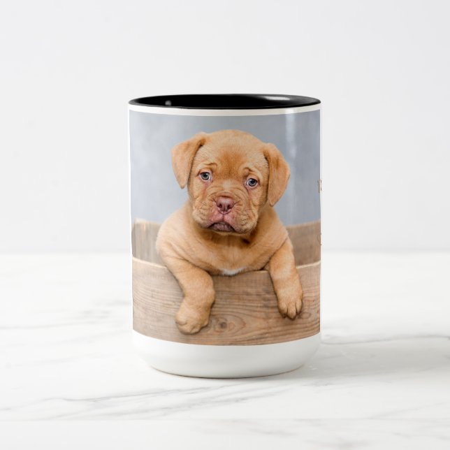 Adorable Dogue de Bordeaux Two-Tone Coffee Mug (Center)