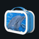 Adorable Dolphin Lunch Box<br><div class="desc">Cute Bottlenose dolphin with an adorable expression.</div>
