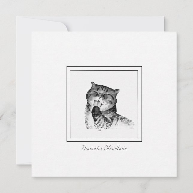 Adorable Domestic Shorthair Cat Sketched Note Card (Front)