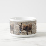 Adorable Donkey Bowl