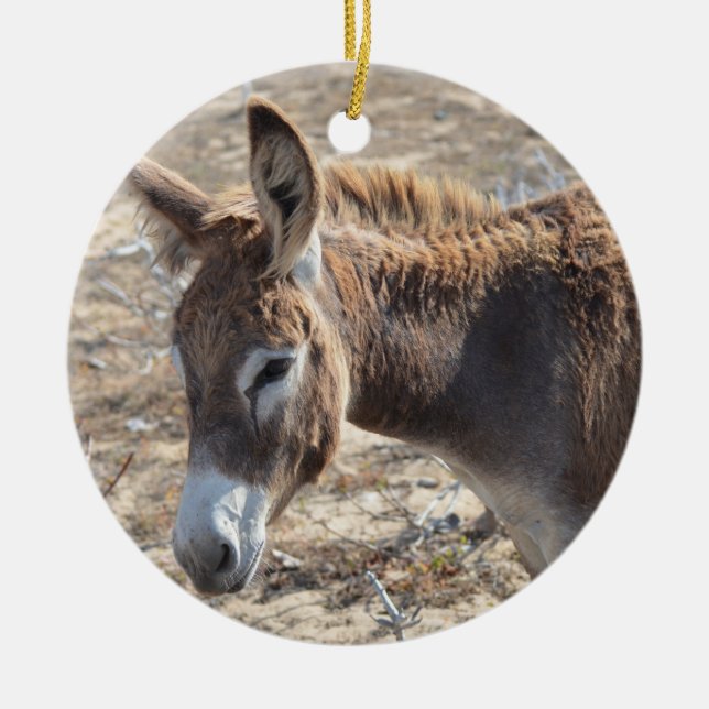 Adorable Donkey Ceramic Ornament (Front)