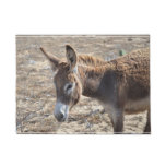Adorable Donkey Doormat
