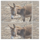 Adorable Donkey Fabric
