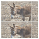 Adorable Donkey Fabric