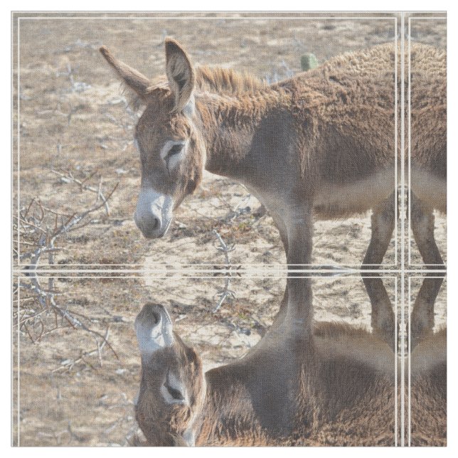 Adorable Donkey Fabric (Close Up)