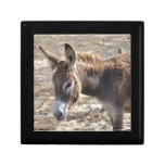 Adorable Donkey Gift Box