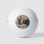Adorable Donkey Golf Balls at Zazzle