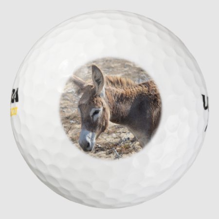 Adorable Donkey Golf Balls