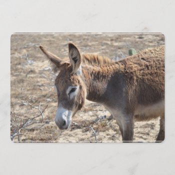 Adorable Donkey Invitation by WildlifeAnimals at Zazzle