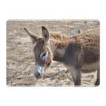 Adorable Donkey Invitation