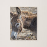 Adorable Donkey Jigsaw Puzzle