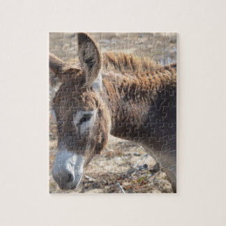 Adorable Donkey Jigsaw Puzzle