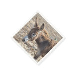 Adorable Donkey Napkins