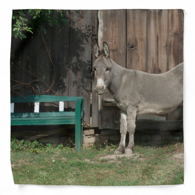 Adorable Donkey Next To Wooden Green Bench Bandana (Front)